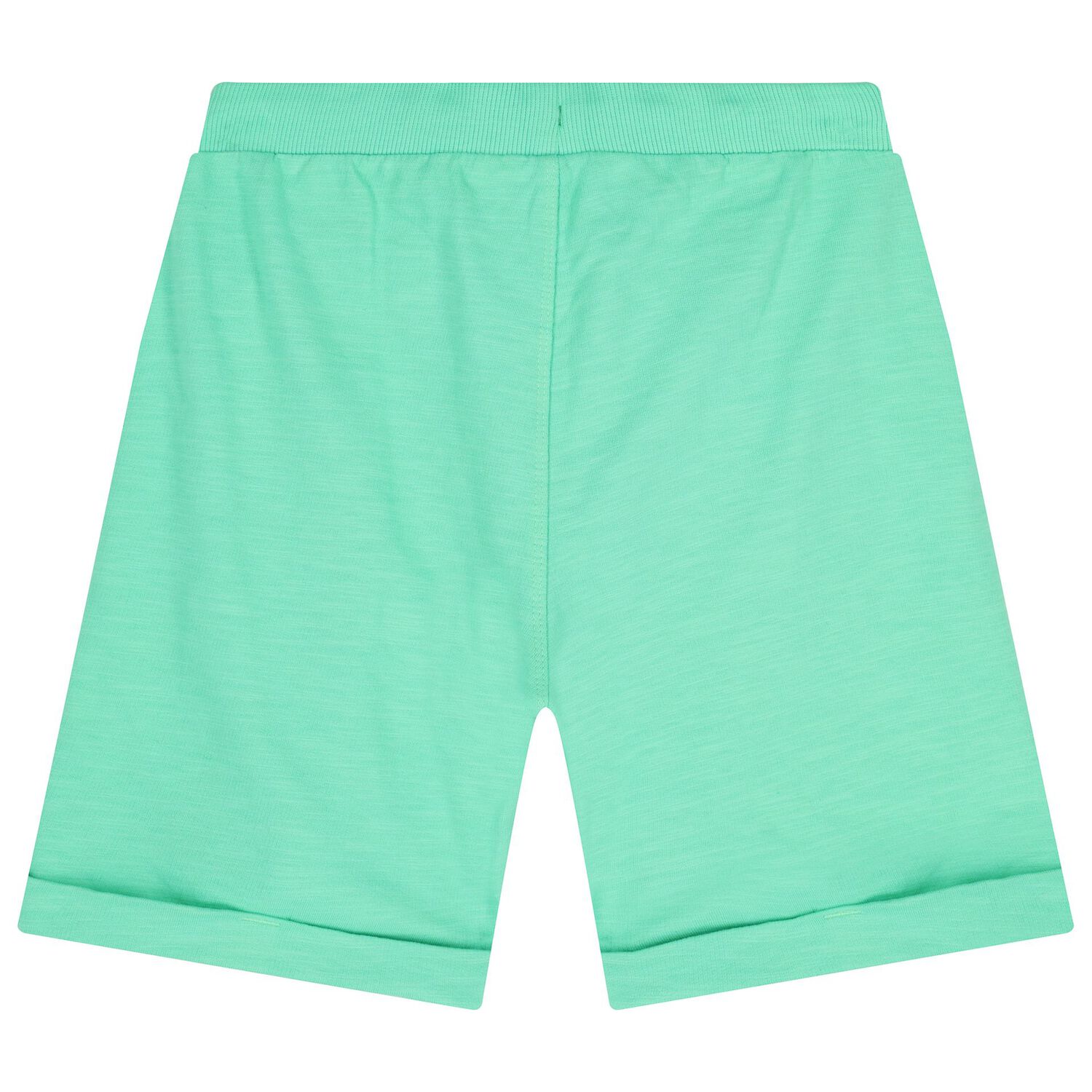 Boys Green Fleece Shorts, 1, hi-res