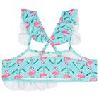 Girls Aqua Flamingo Print Bikini, 1, hi-res