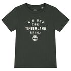 تي شيرت للأولاد باللونين العاجي والأخضر (عبوة من قطعتين), 2, hi-res