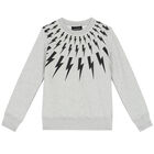 سويت شيرت باللون الرمادي للأولاد, 1, hi-res