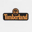 تيشيرت أبيض بشعار للأولاد, 3, hi-res