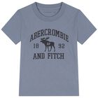 Boys Blue Logo T-Shirt, 1, hi-res