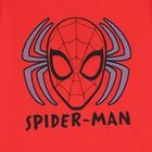 Boys Red & Grey Spiderman Pyjamas, 1, hi-res