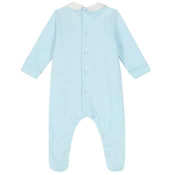 Baby Boys Blue Embroidered Babygrow