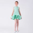 Girls Green Rose Hem Dress, 1, hi-res