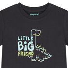 Younger Boys Grey Dinosaur T-Shirt, 2, hi-res