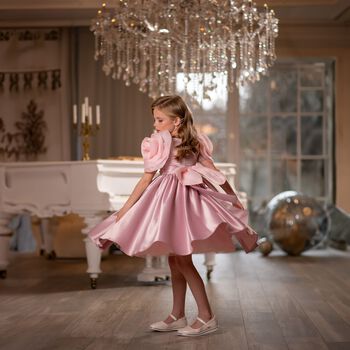 Girls Mirana Pink 3D Rose Sleeve Tulle Dress