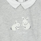 Baby Boys Grey Rabbit & Logo Babygrow, 1, hi-res