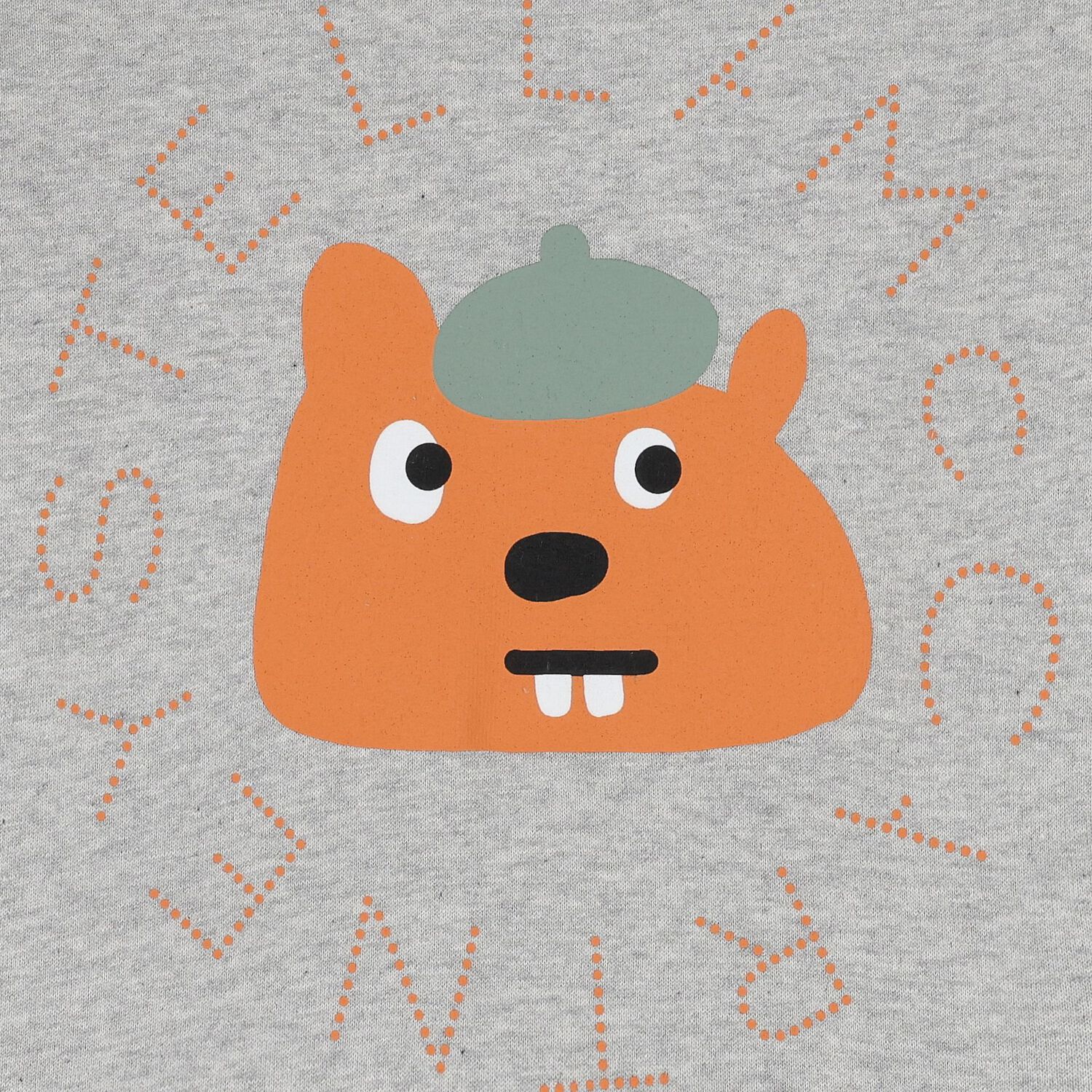 Boys Grey Squirrel Sweatshirt, 1, hi-res