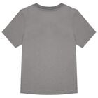 Boys Grey & Black Logo T-Shirt, 2, hi-res
