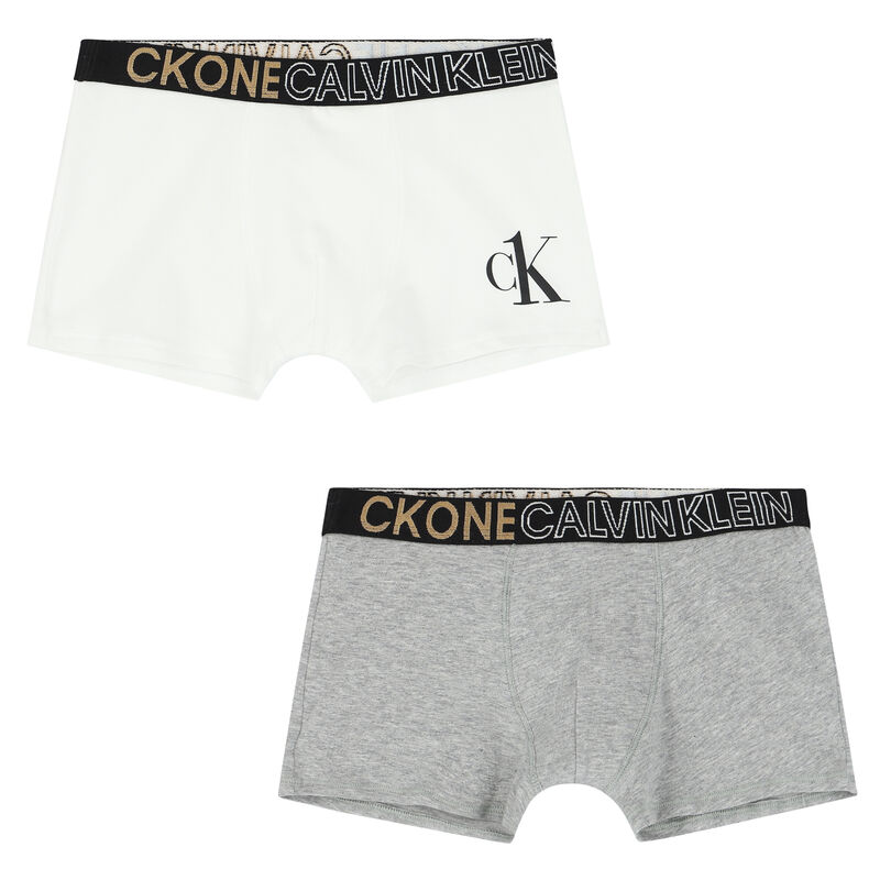 Calvin Klein Boys Grey & White Logo Boxer Shorts ( 2-Pack ) | Junior  Couture QA