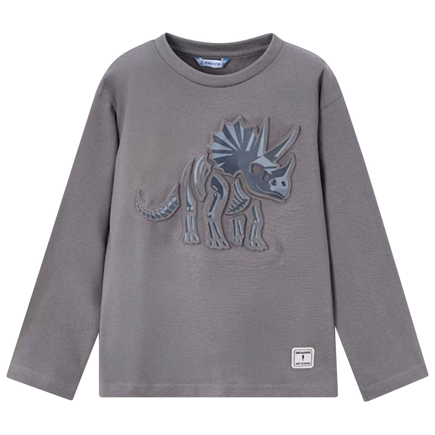 Boys Grey Dinosaur Long Sleeve Top, 2, hi-res image number null