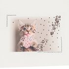 توب أكمام طويلة للبنات بتصميم القطة الصغيرة باللون العاجي, 1, hi-res