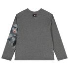 Boys Grey Mountain Long Sleeve Top, 1, hi-res