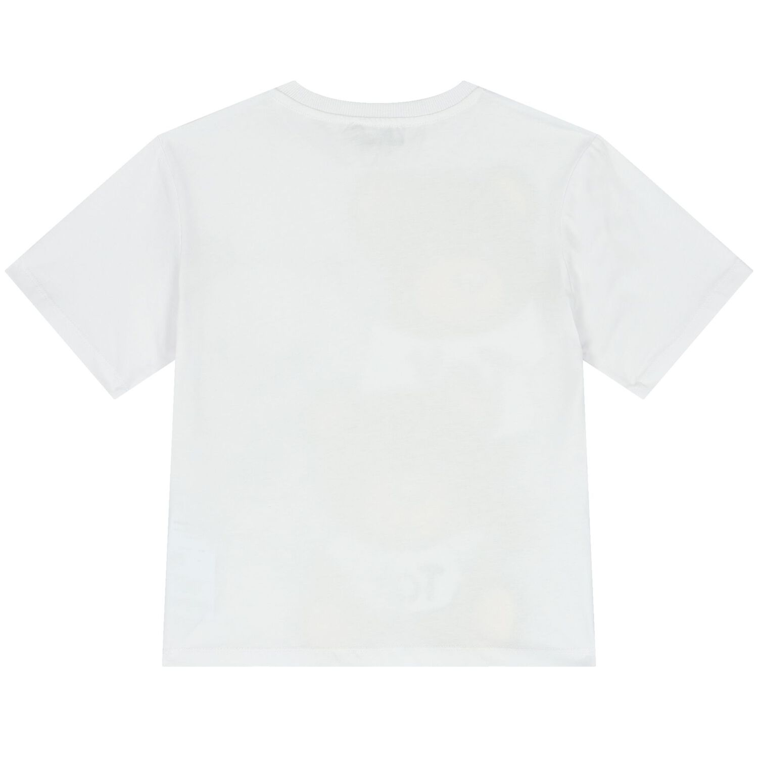 تيشيرت بشعار تيدى باللون الأبيض, 2, hi-res