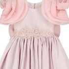 Girls Mirana Pink 3D Rose Sleeve Tulle Dress, 2, hi-res