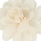 Girls Ivory Flower Hairclips ( 2-Pack ), 4, hi-res