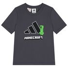 Boys Grey Minecraft Logo T-Shirt, 2, hi-res