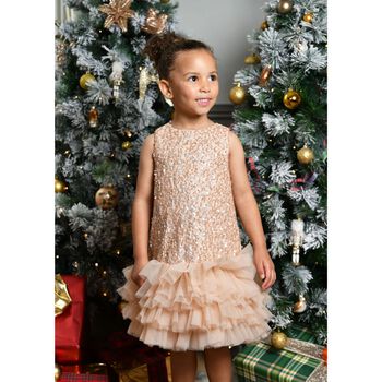 Girls Beige Embellished Tulle Dress