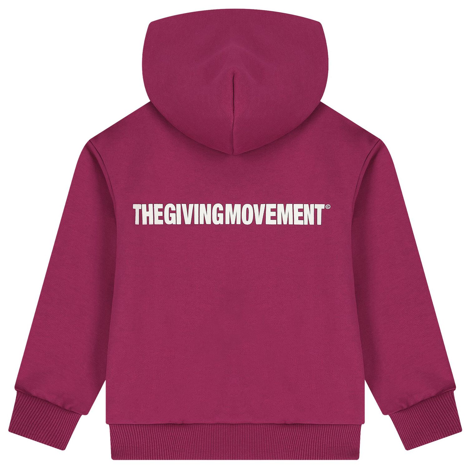 توب هودي بسحاب بالشعار باللون العنابي, 1, hi-res