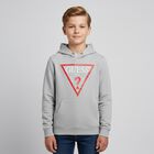Boys Grey Logo Hooded Top, 3, hi-res