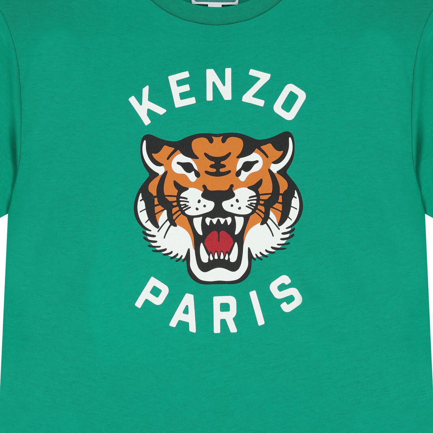 Boys Green Tiger T-Shirt, 1, hi-res image number null