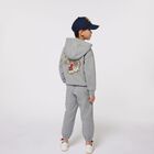 Boys Grey Tiger Logo Tracksuit, 1, hi-res