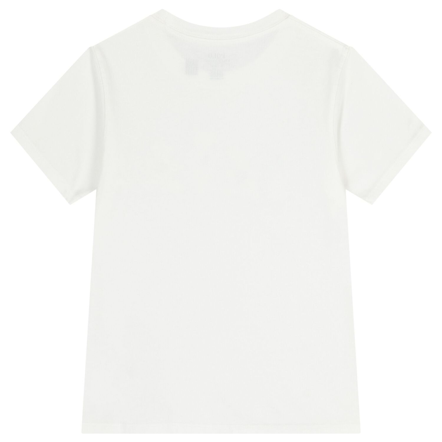 Boys White Polo Bear T-Shirt, 1, hi-res