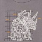 Boys Grey Dinosaur Long Sleeve Top, 1, hi-res