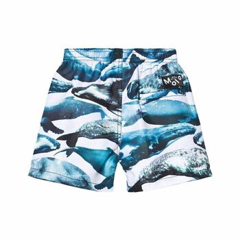 Boys Blue Swim Shorts