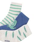 Younger Boys Blue, Ivory & Aqua Socks ( 3-Pack ), 1, hi-res