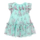 Baby Girls Aqua Roses Tulle Dress, 1, hi-res