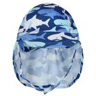 Boys Blue Swim Hat, 1, hi-res