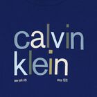 Boys Blue Logo T-Shirt, 1, hi-res