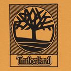 تيشيرت برتقالي بشعار للأولاد, 1, hi-res