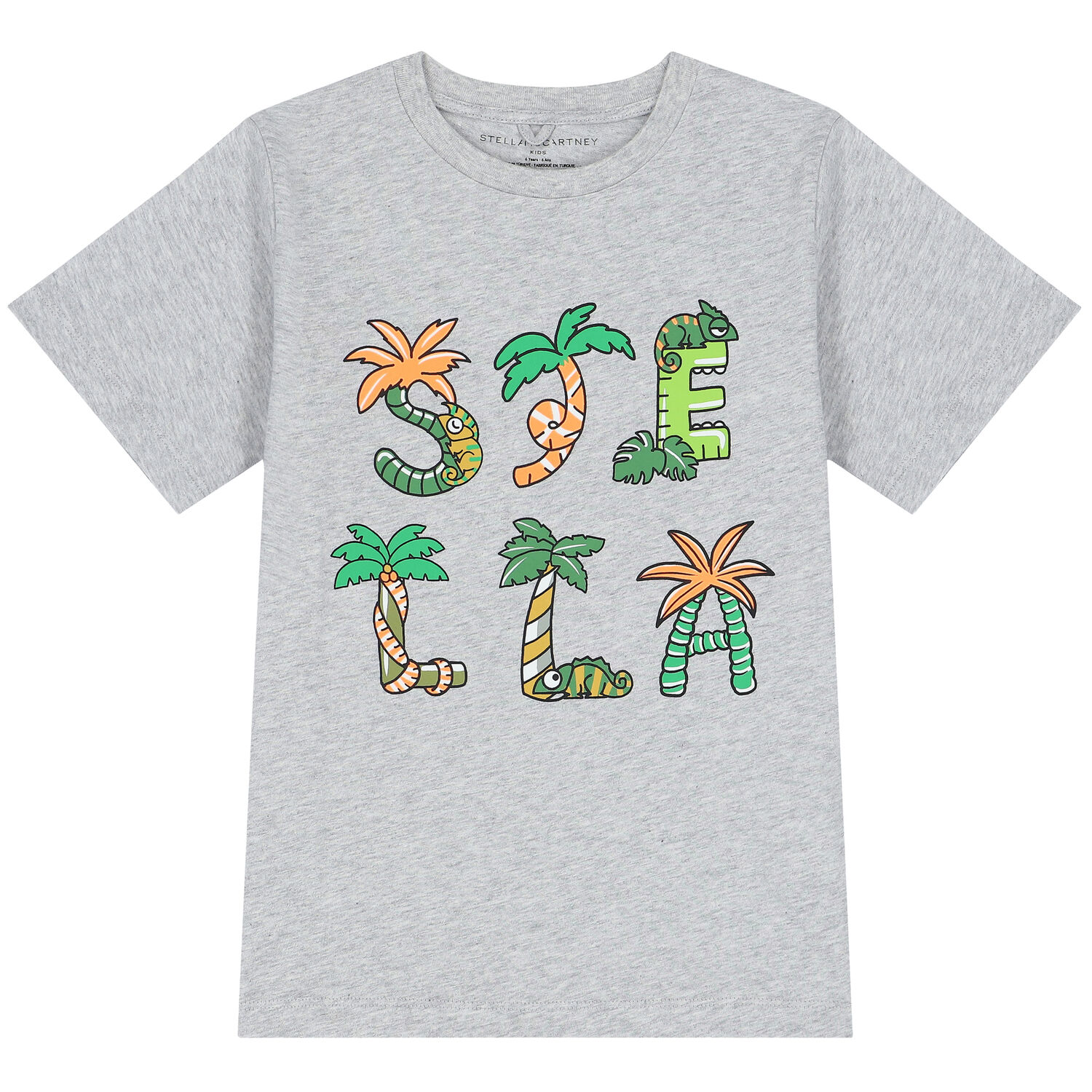 تيشيرت بالشعار باللون الرمادى للاولاد, 1, hi-res image number null