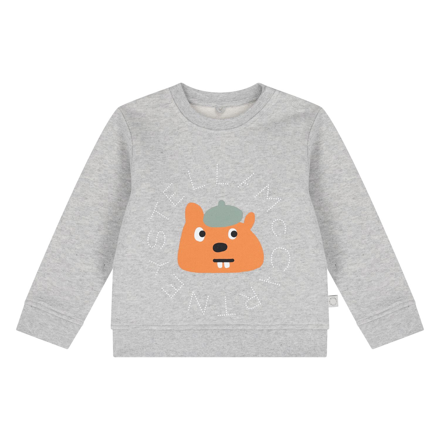 Younger Boys Grey Squirrel Sweatshirt, 1, hi-res