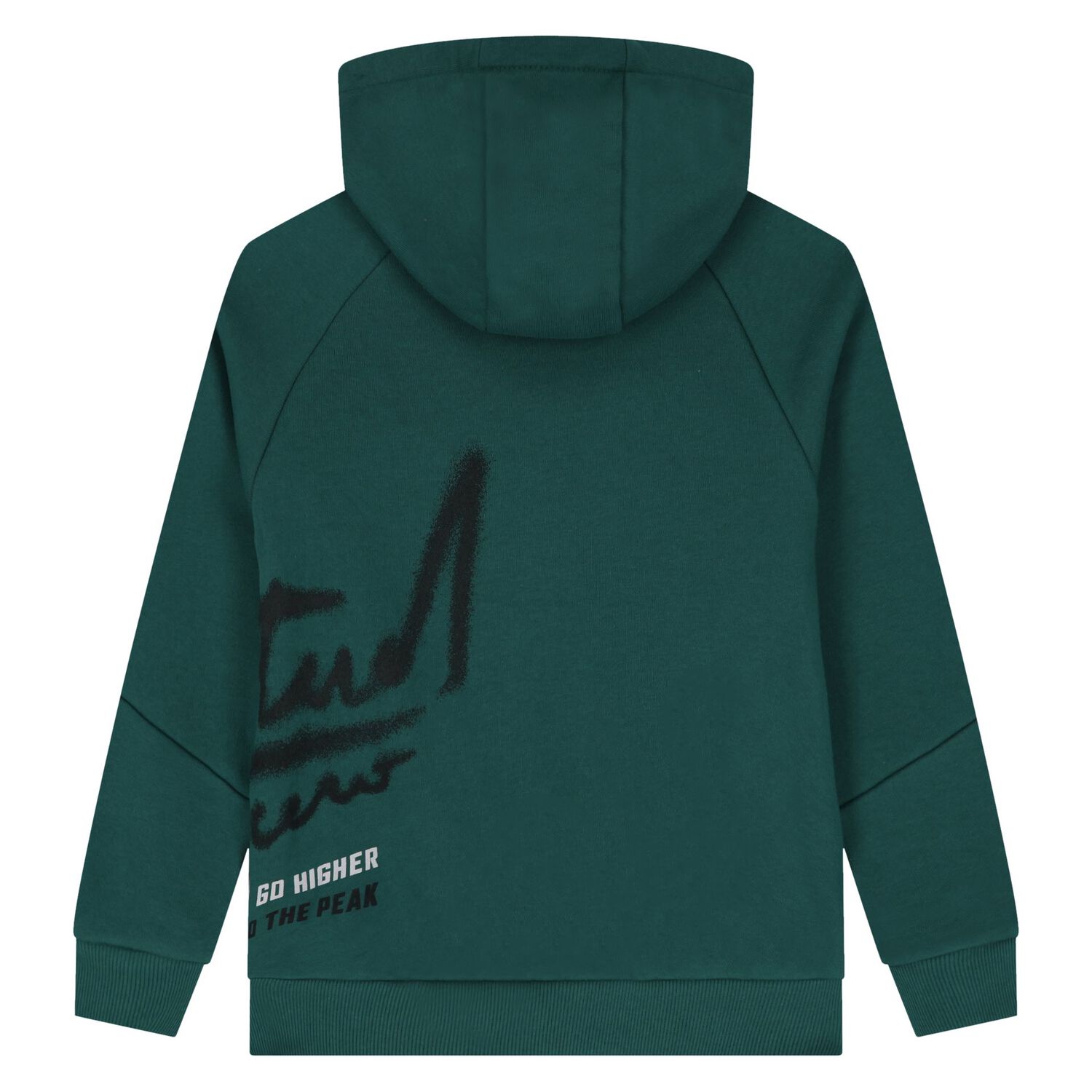 Boys Green Hooded Top, 1, hi-res