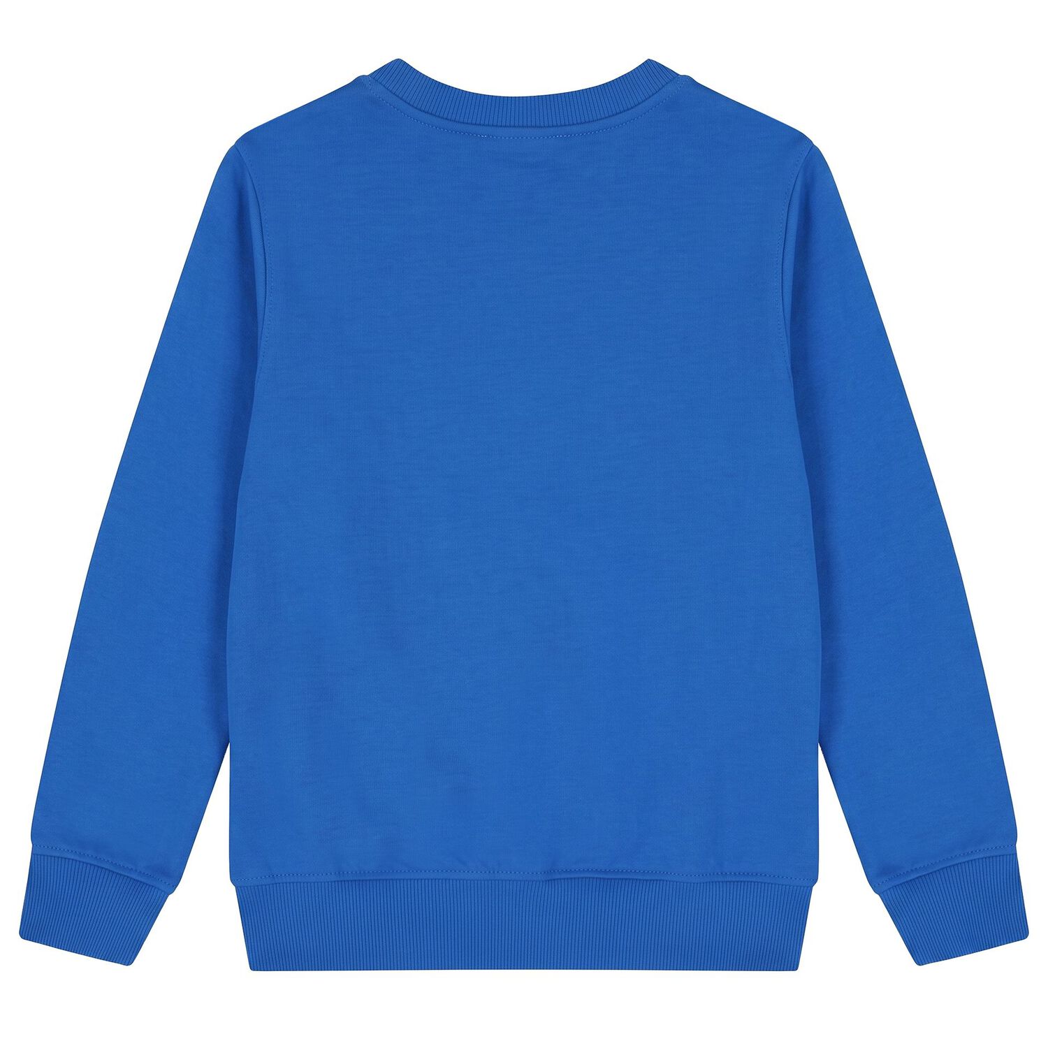 Blue Teddy Bear Logo Sweatshirt, 2, hi-res