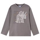 Boys Grey Dinosaur Long Sleeve Top, 1, hi-res