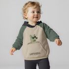 بدله رياضيه للاولاد باللون الاخضر والبيج والكحلى ( 3 قطع ), 3, hi-res