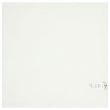 بطانية بيغاسوس للاطفال الرضع باللونين الابيض و الازرق