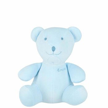 Baby Boys Blue Teddy