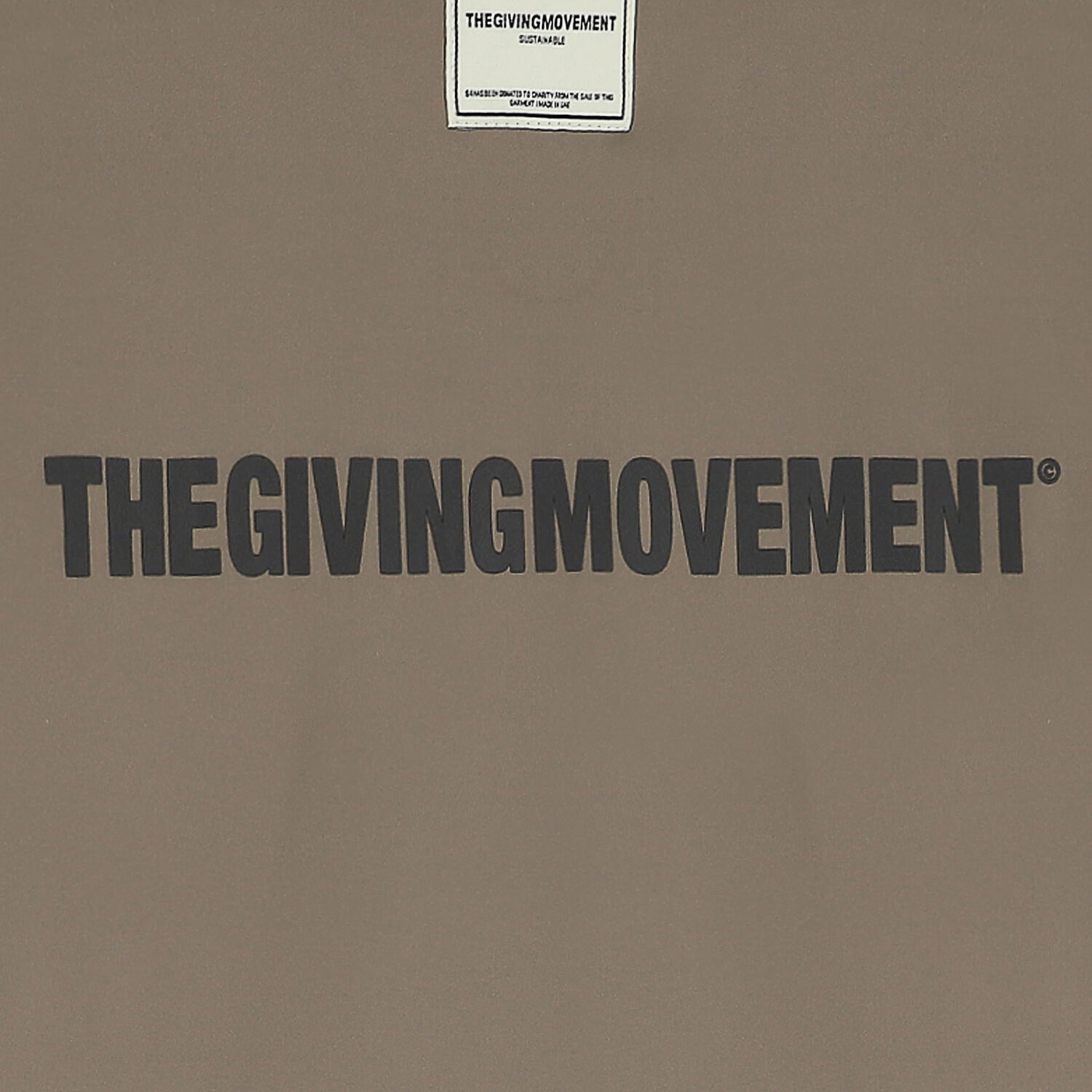 Oversized Beige Logo T-Shirt, 3, hi-res