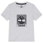 Boys Grey Logo T-Shirt, 2, hi-res