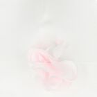 قبعة زهرية باللون عاجية ووردية للبنات, 1, hi-res