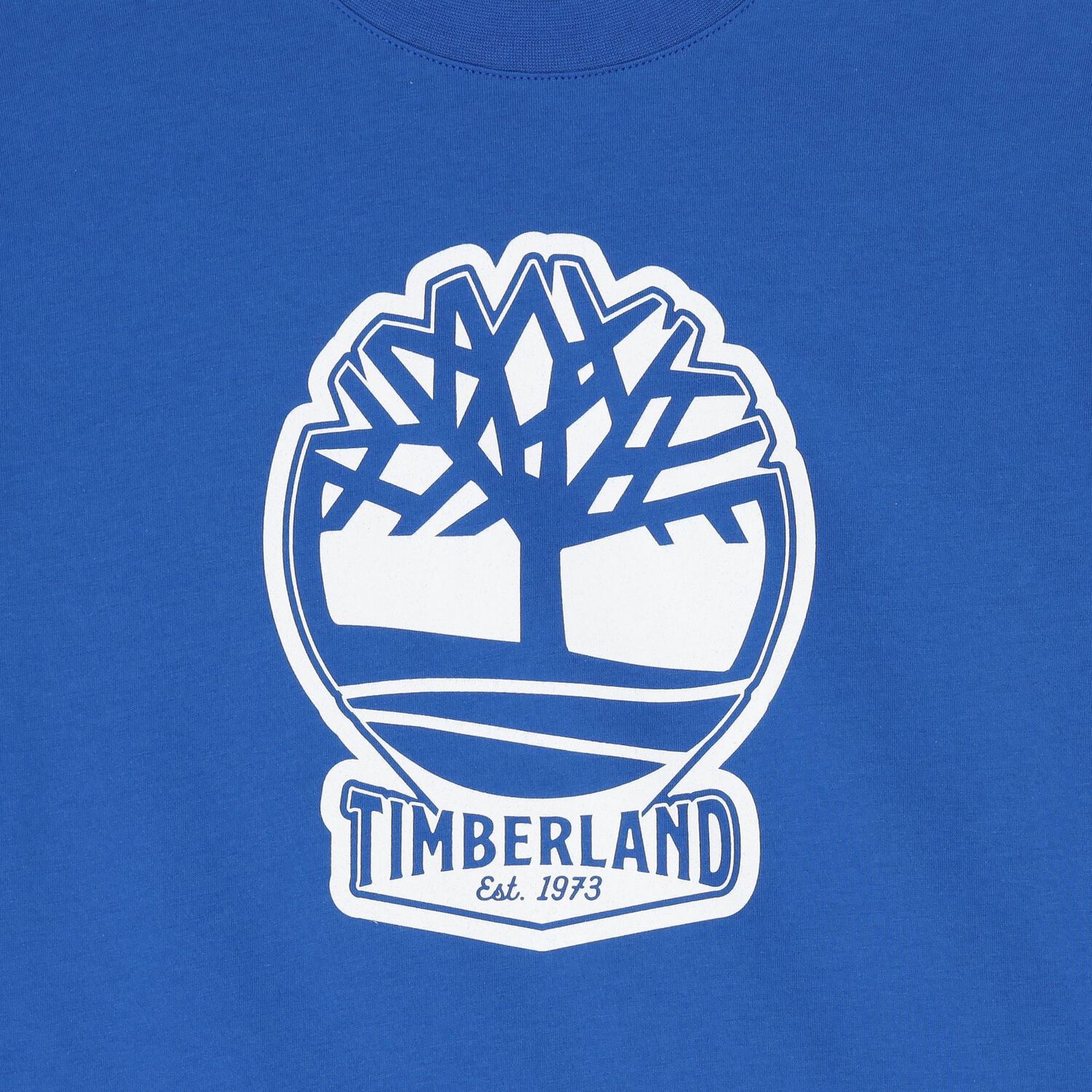 Boys Blue Logo T-Shirt, 6, hi-res image number null