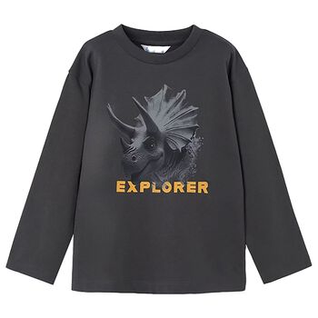 Boys Grey Dinosaur Long Sleeve Top