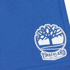 طقم شورت اولاد بالشعار باللون الأزرق والاسود, 1, hi-res