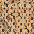 شورت قطنى باللون الاصفر للاولاد, 1, hi-res